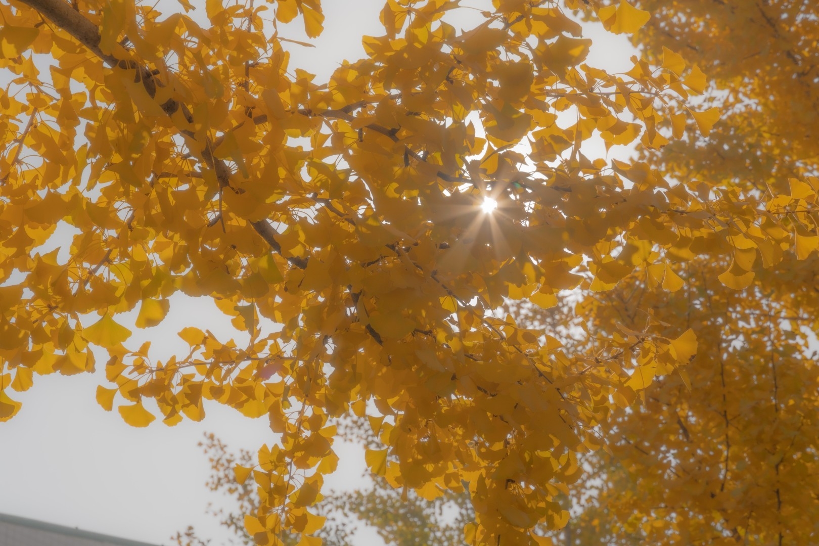 DSC03843-progressive.jpeg