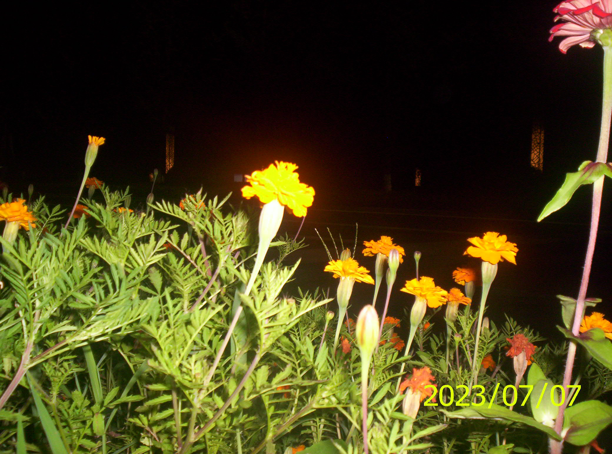 100_2196.JPG