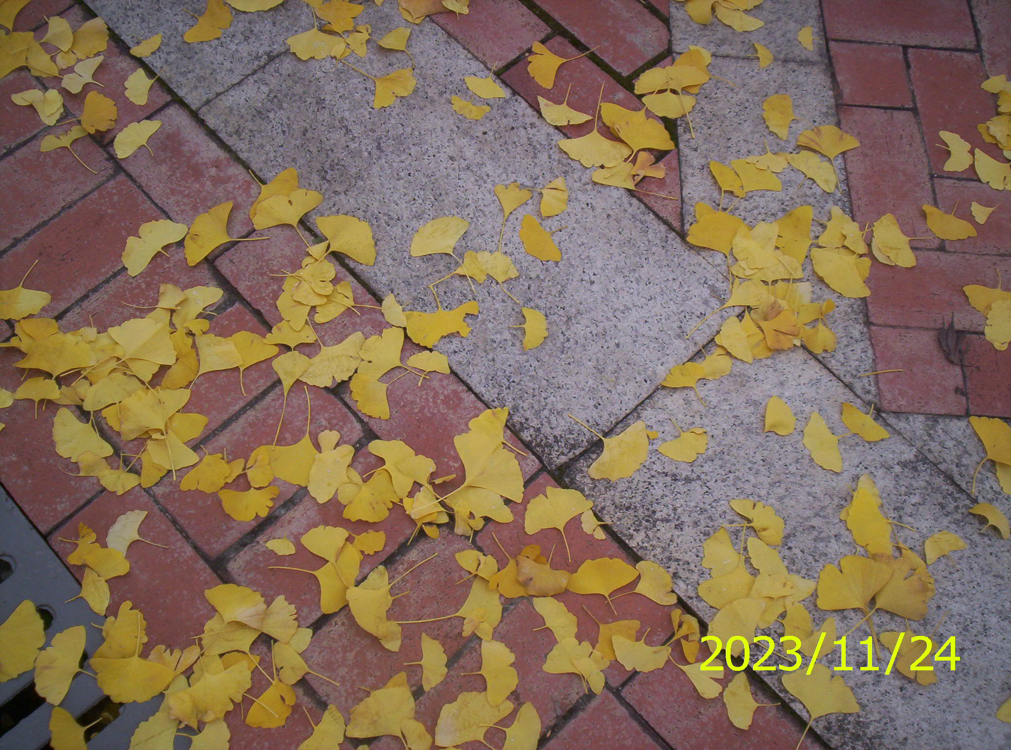 100_2660.JPG