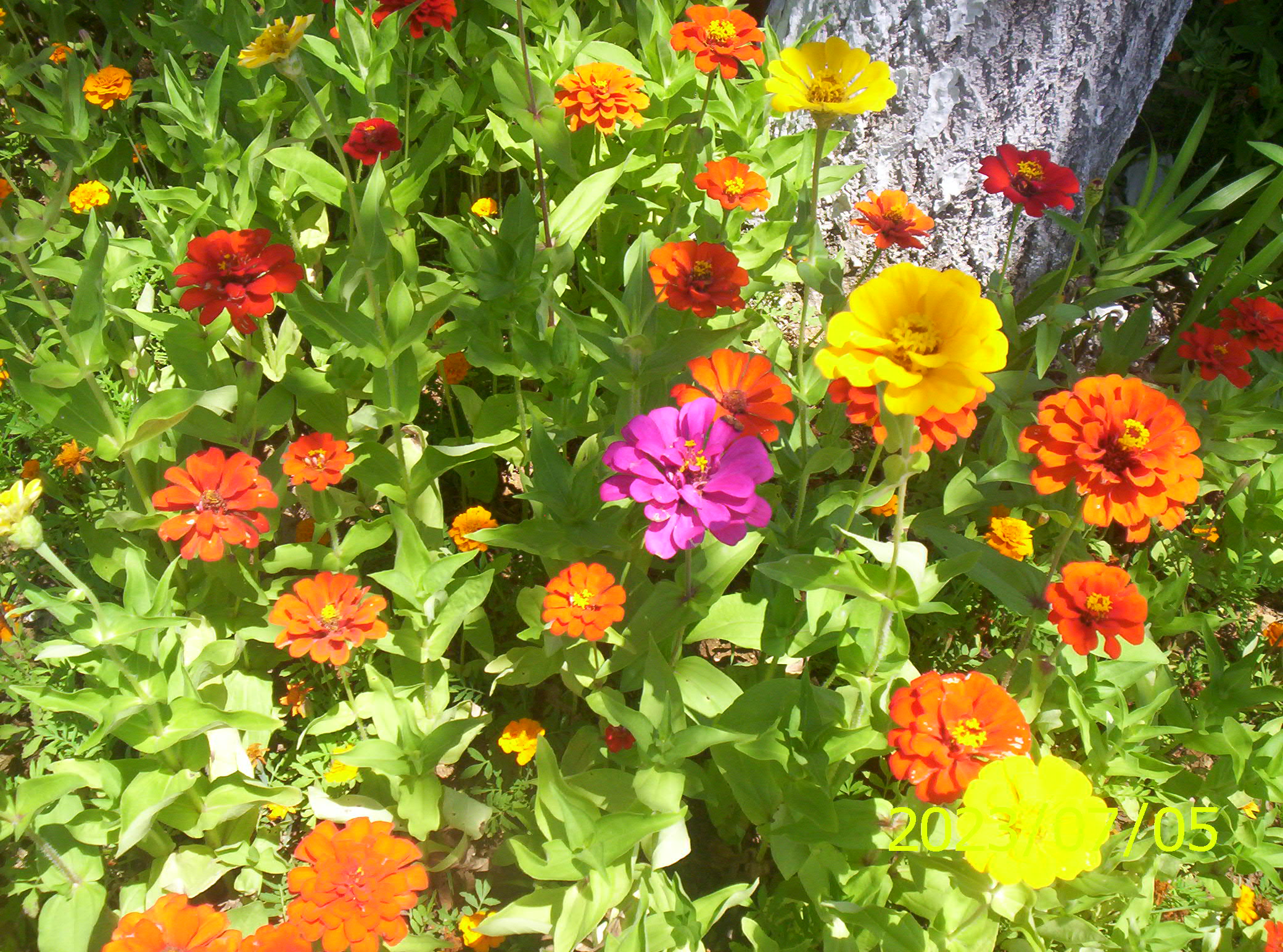 100_2174.JPG