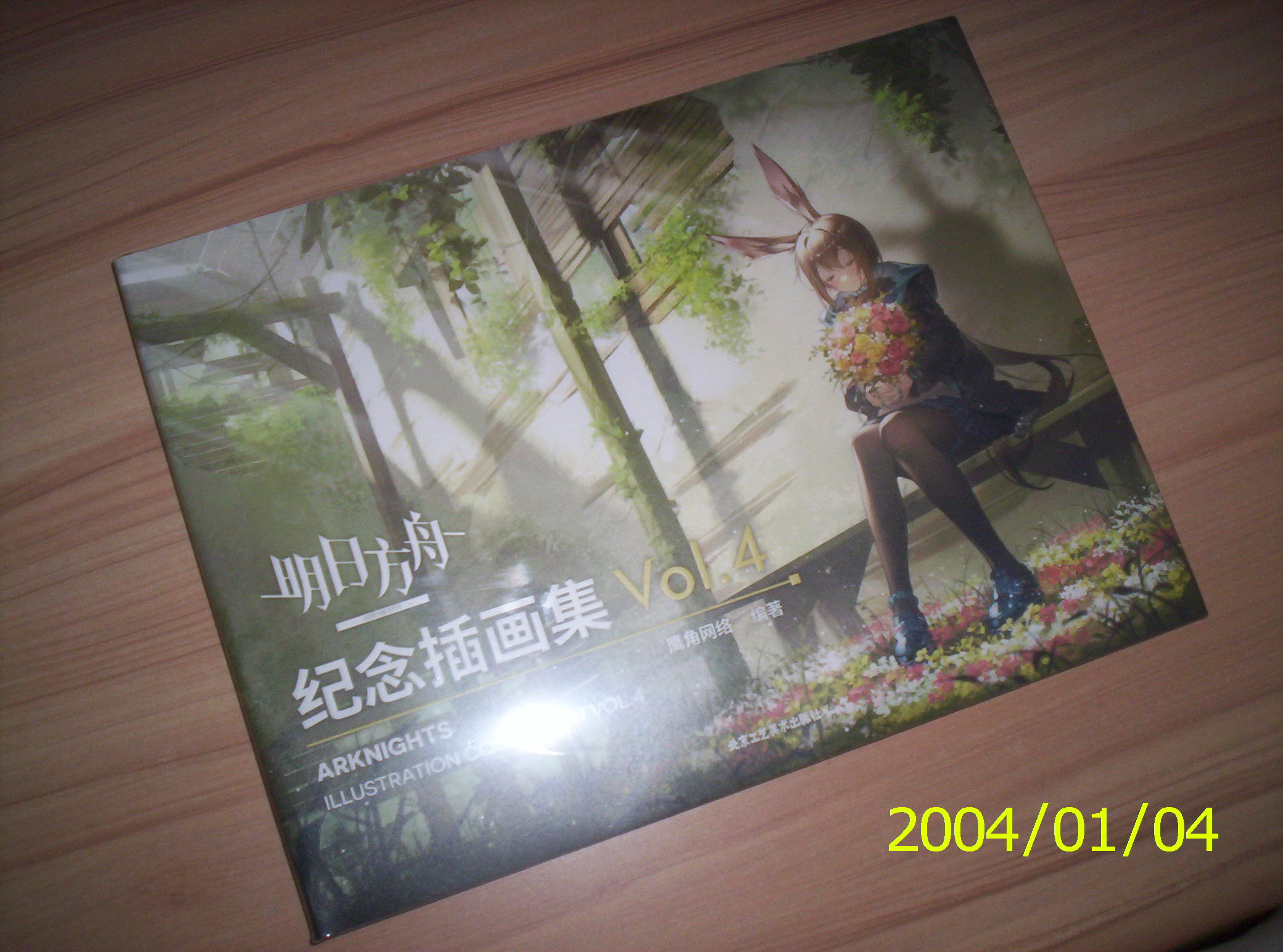 100_2501.JPG
