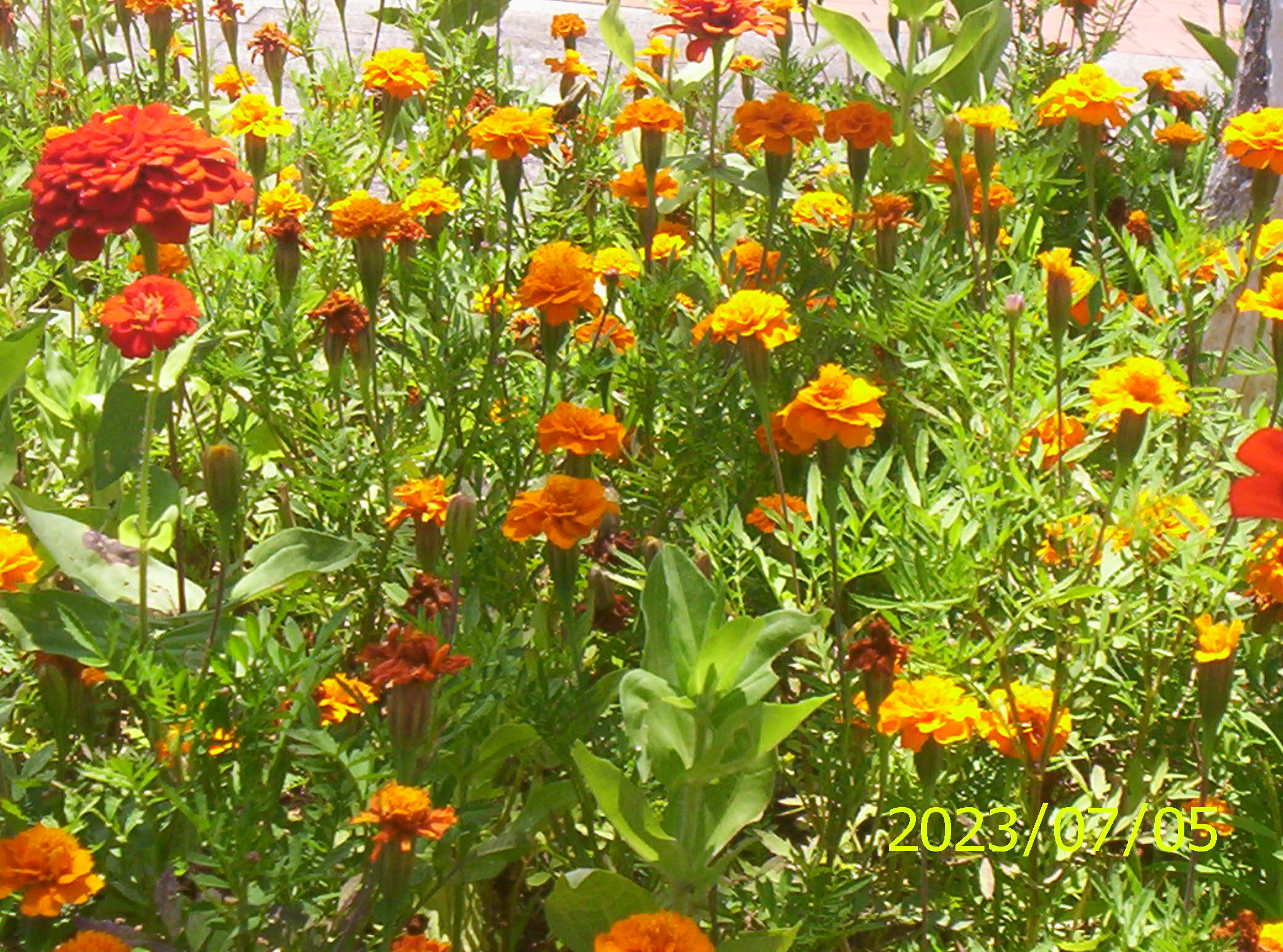 100_2176.JPG