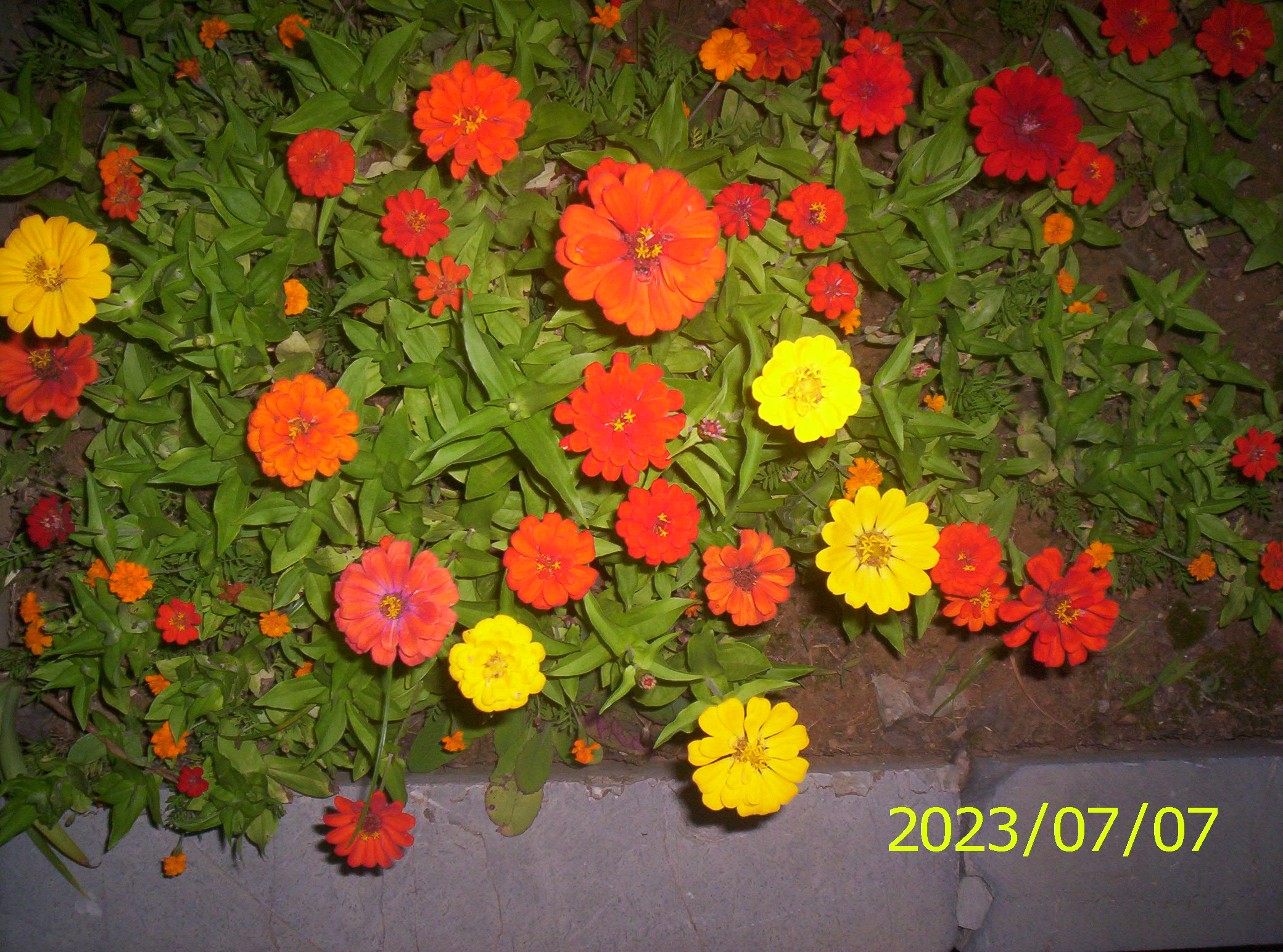 100_2201.JPG