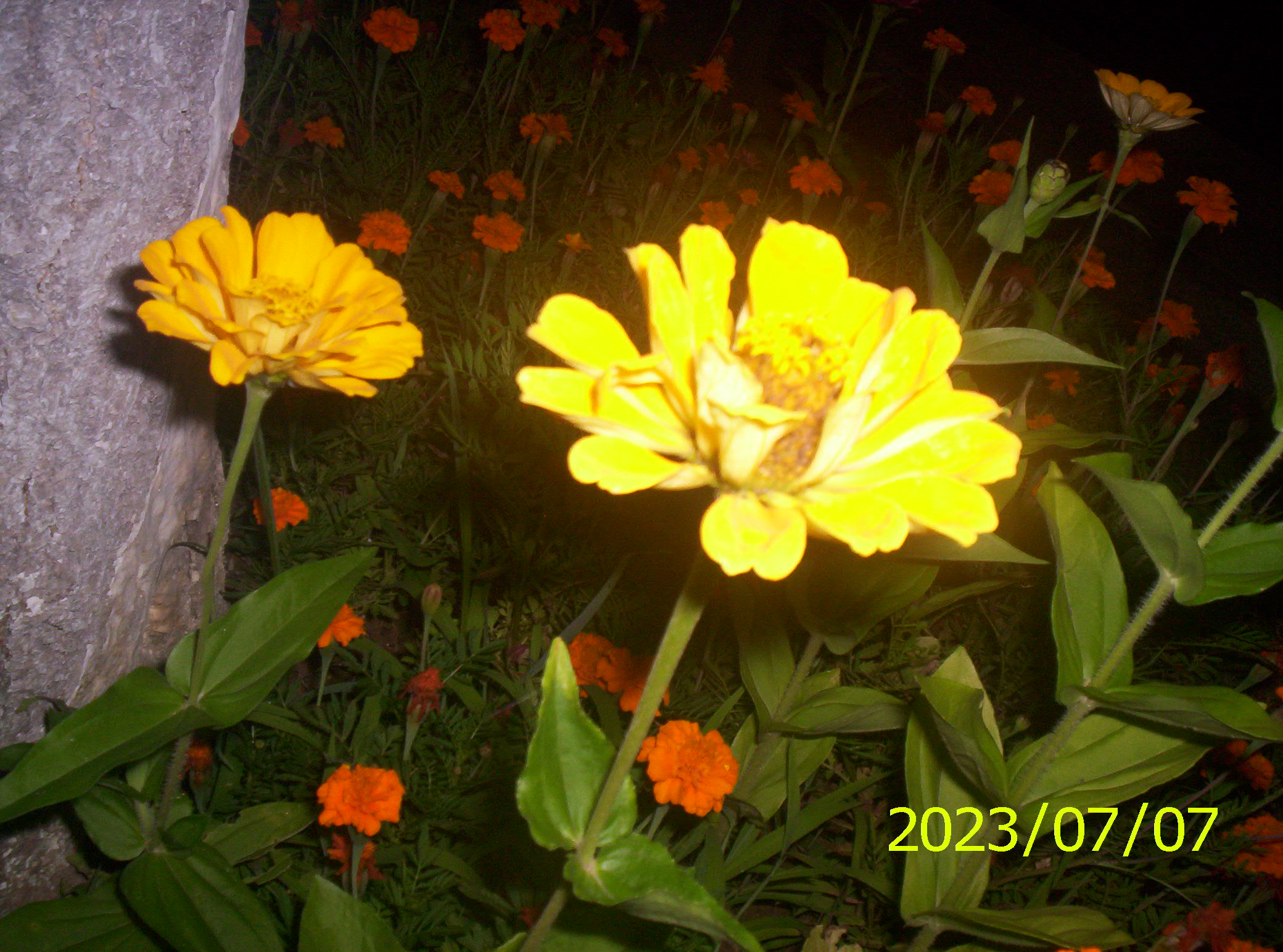 100_2195.JPG