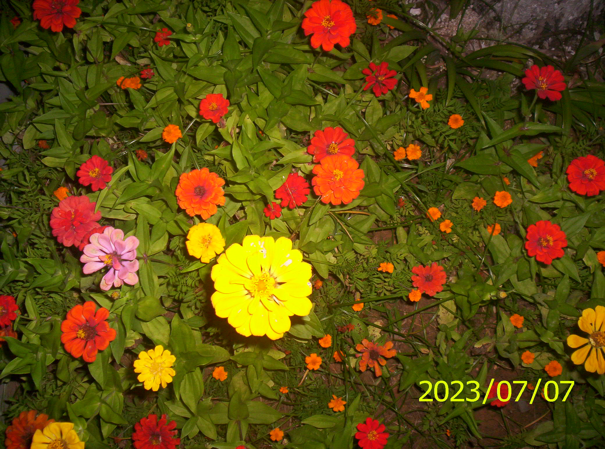 100_2202.JPG