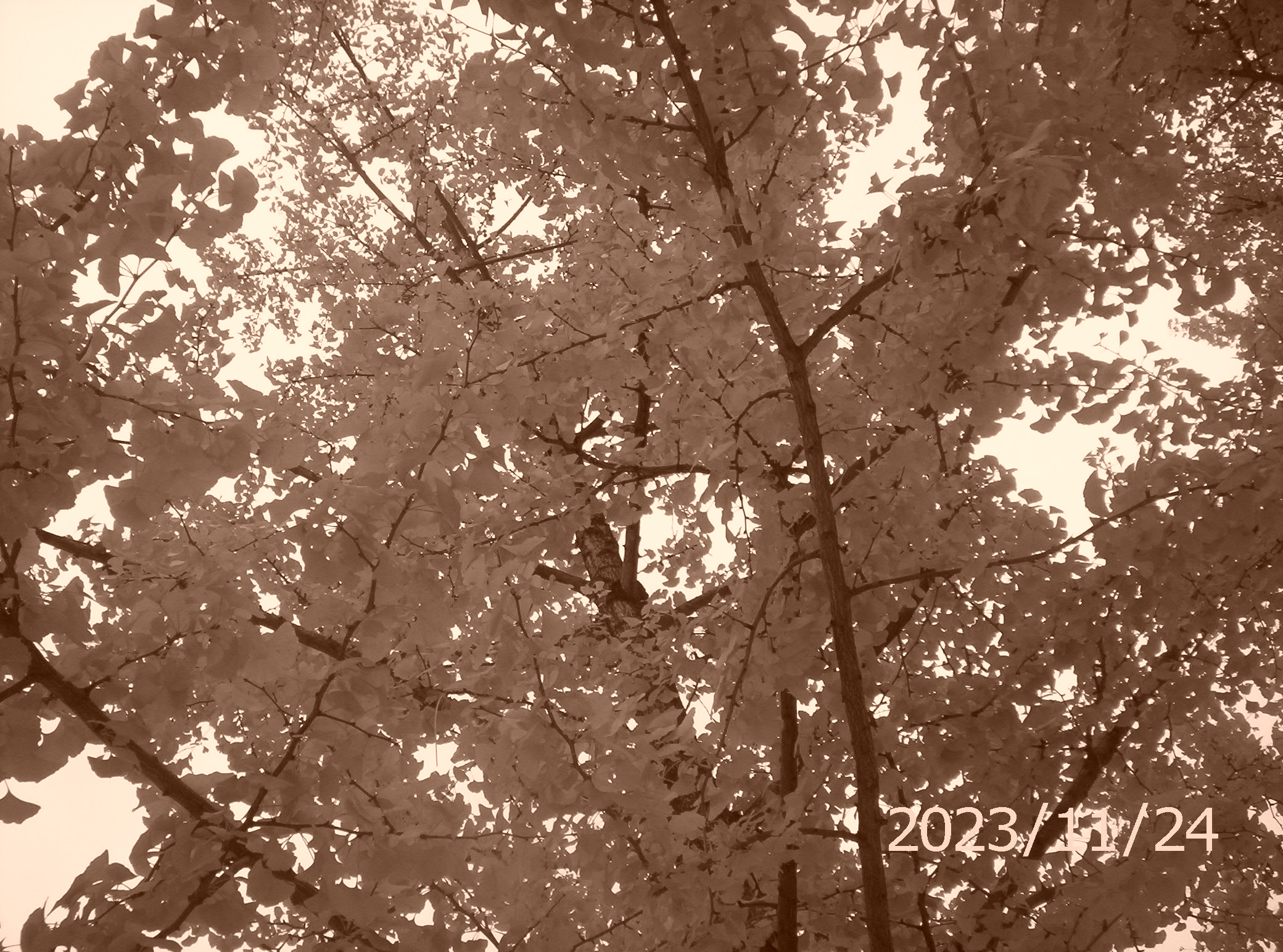 100_2663.JPG