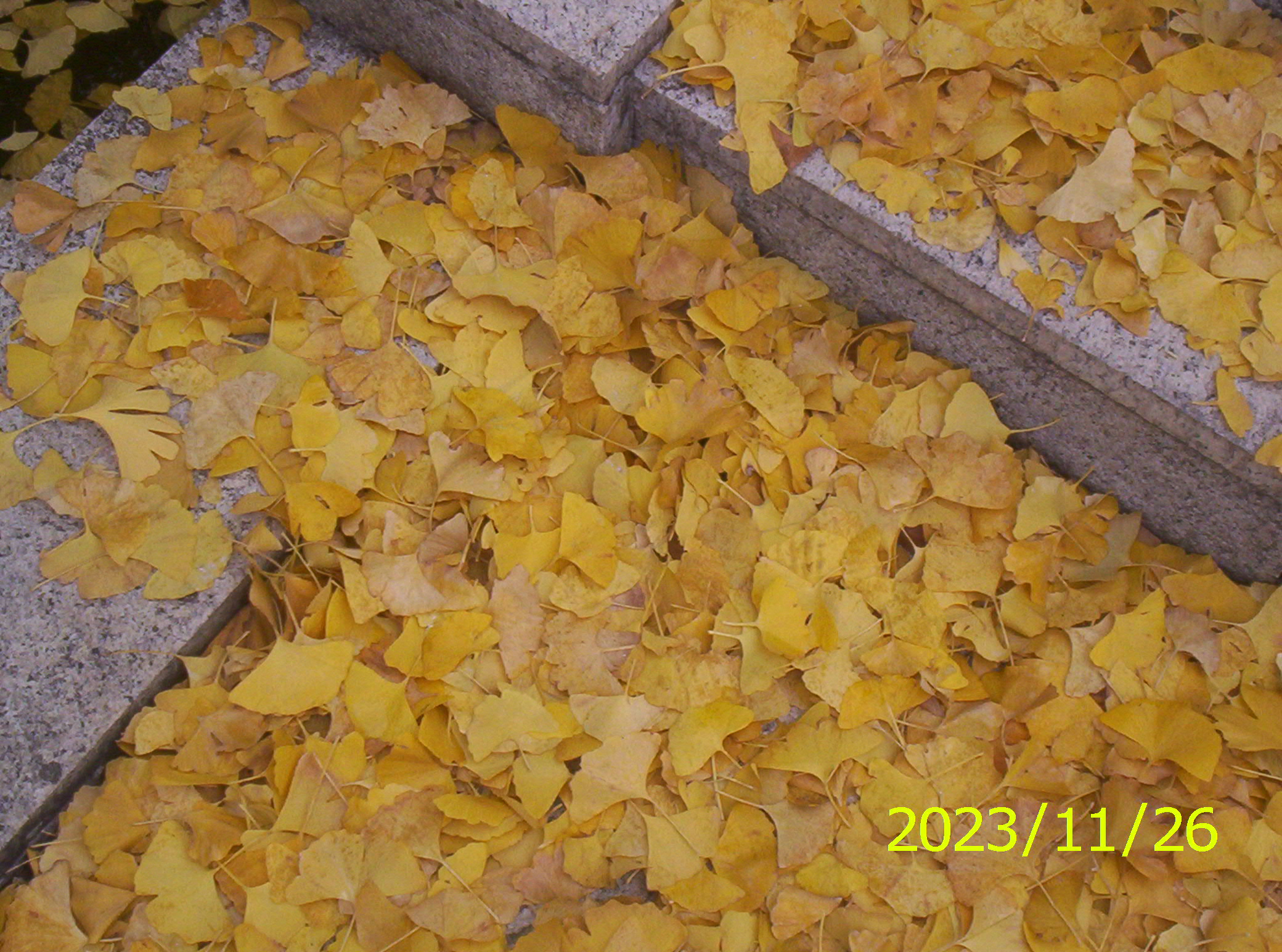100_2671.JPG