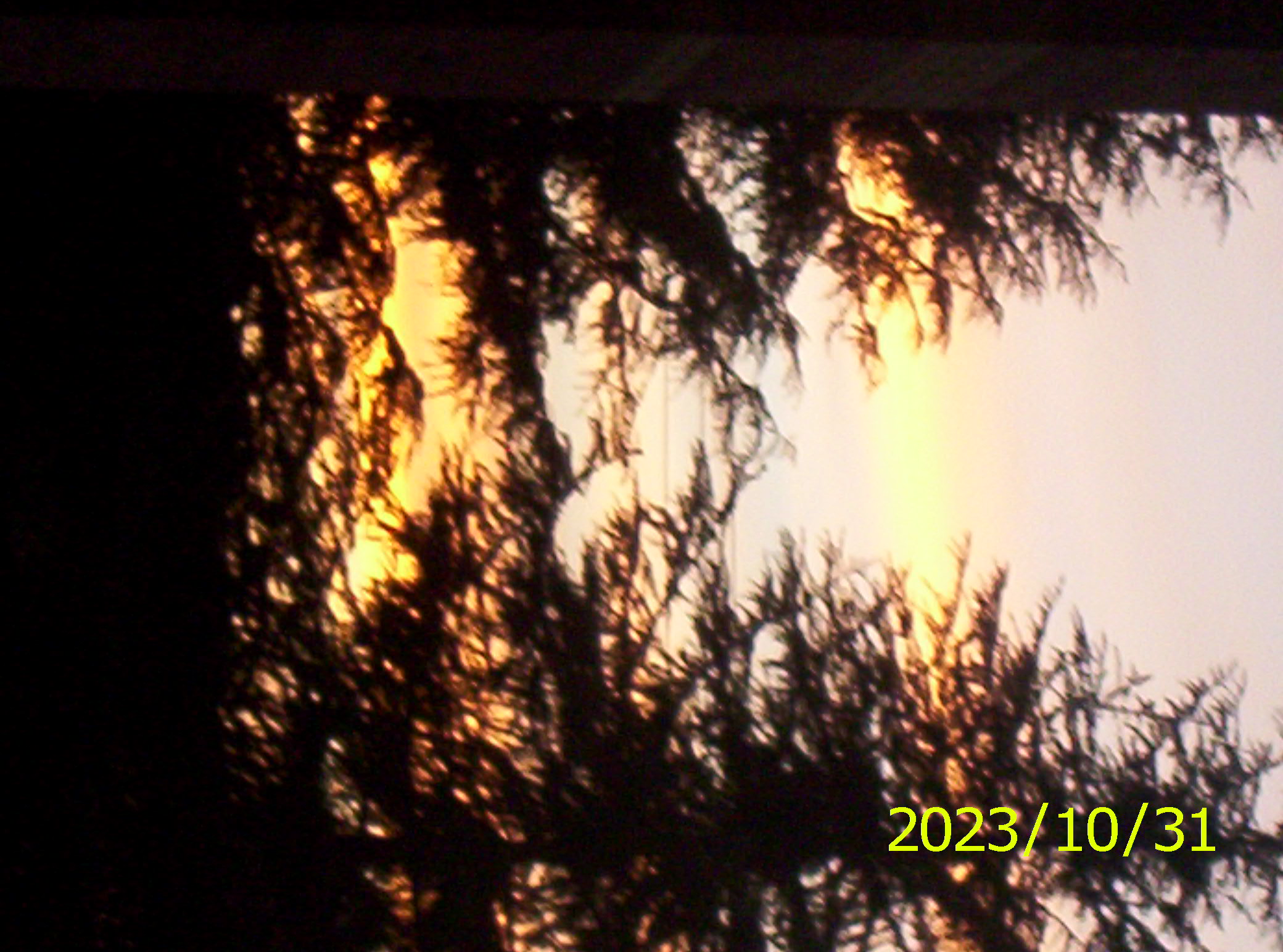 100_2525.JPG