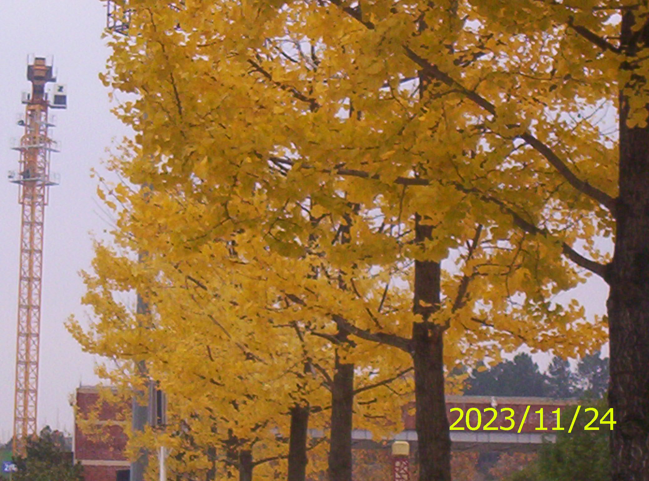 100_2646.JPG
