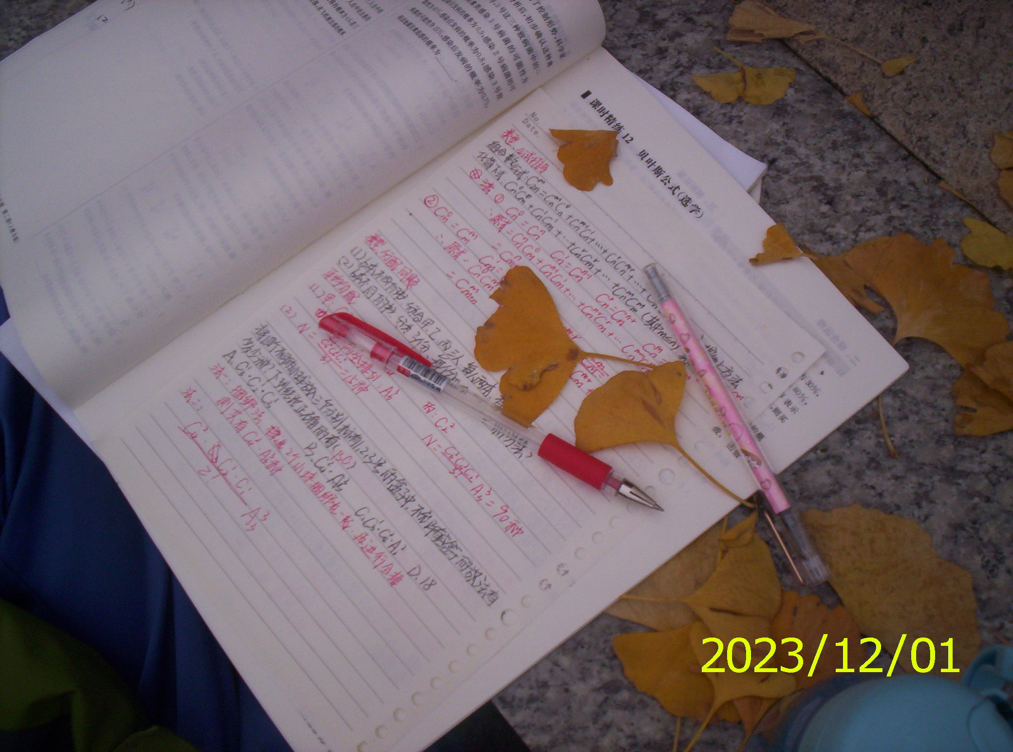 100_2759.JPG