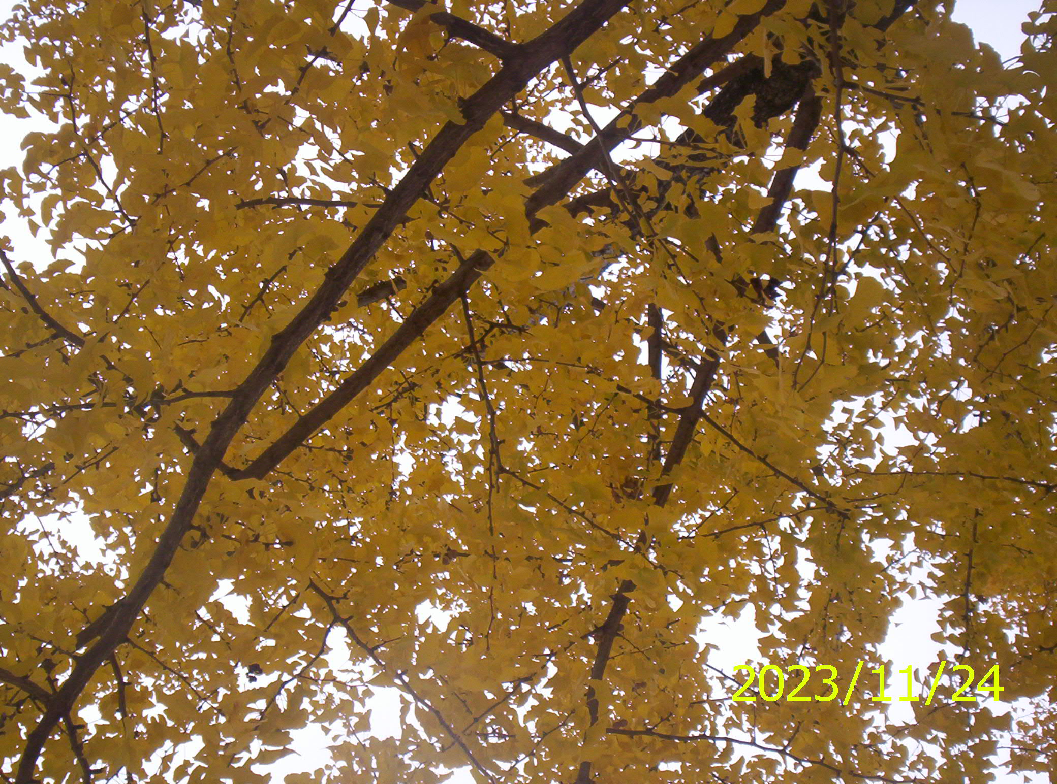 100_2662.JPG