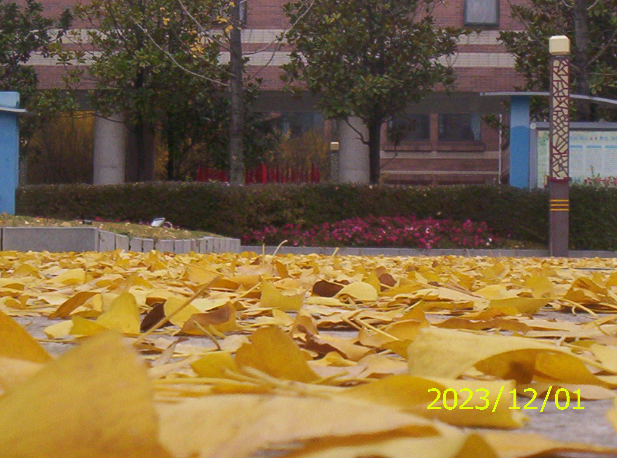 100_2708.JPG
