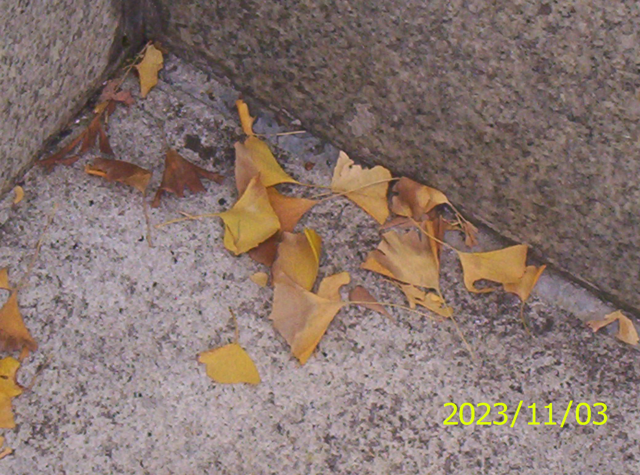100_2543.JPG